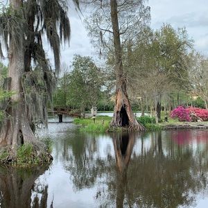 Meet your Posher, Tom